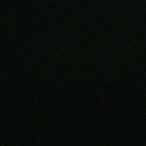 Meet your Posher, Ramona